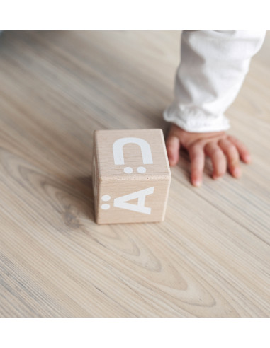 Nordic Wooden Alphabet Blocks