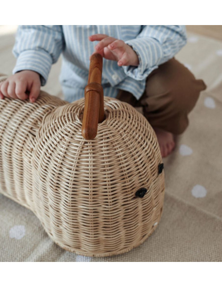 Ride On Kids Toy Rattan Rider