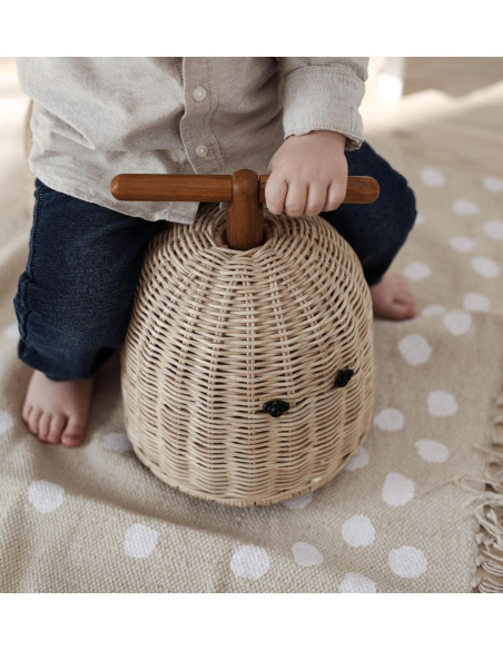 Ride On Kids Toy Rattan Rider