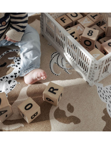 Wooden Alphabet Blocks in Black