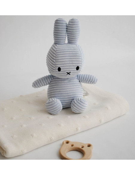 Blue Miffy Popcorn Set in a Gift Box